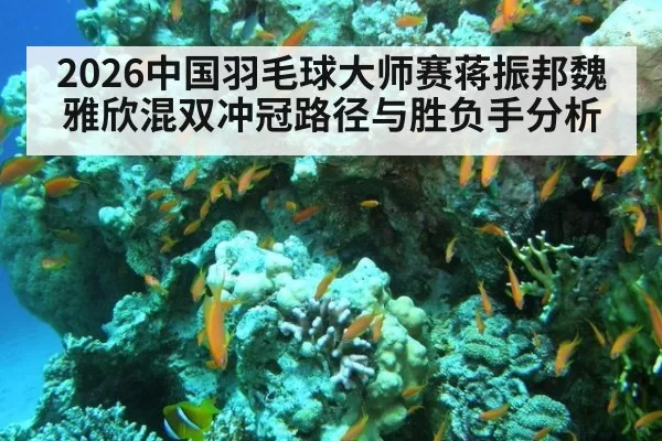 2026中国羽毛球大师赛蒋振邦魏雅欣混双冲冠路径与胜负手分析